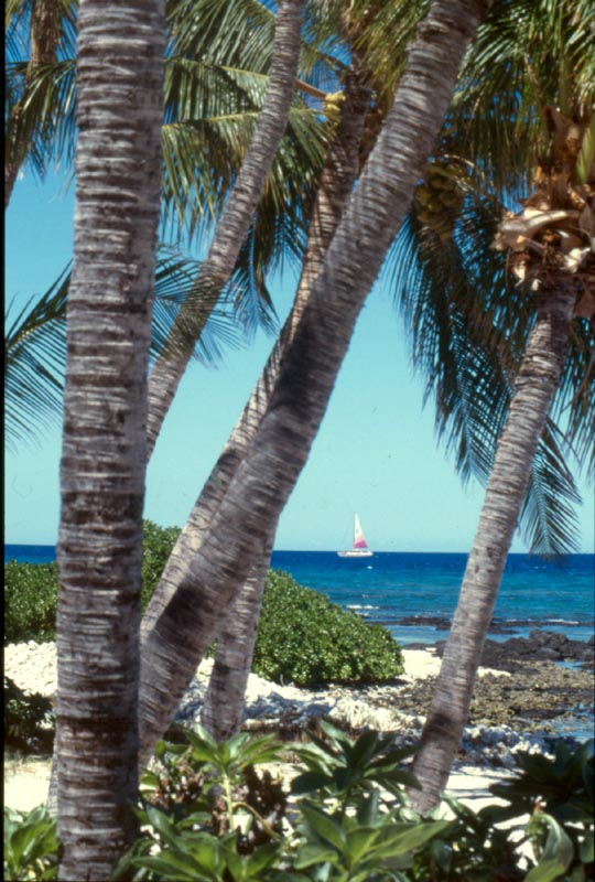 8-hawaii-puako-beach-sail-1